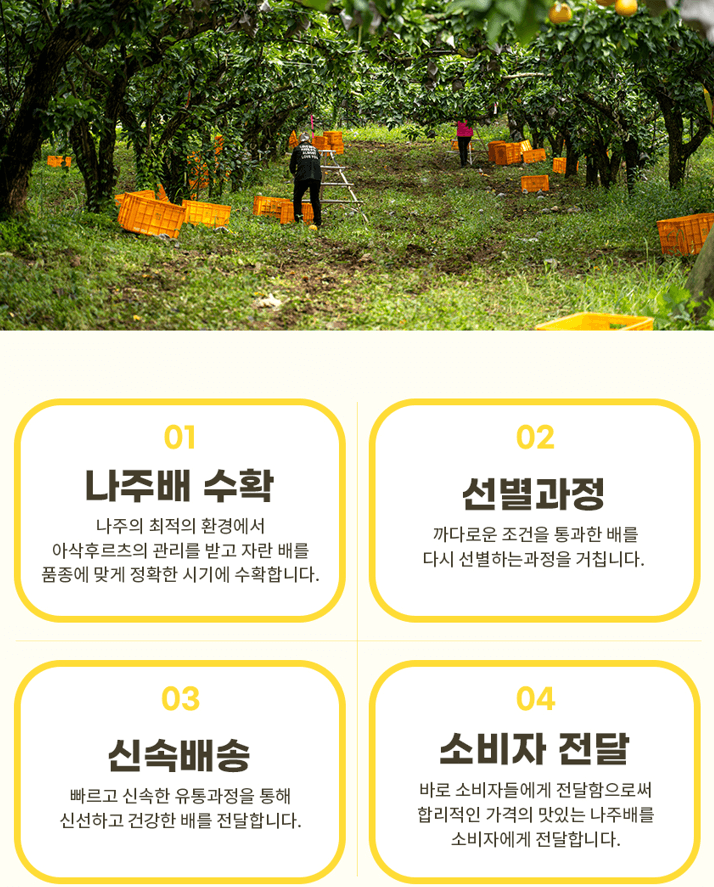 스피드번님의 장터 판매 상품 [나주 배(신고)] 첨부 사진