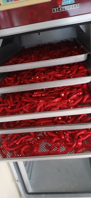 초보퍼머5도2촌준비님의 자유주제 · 자유게시판 작성글 사진