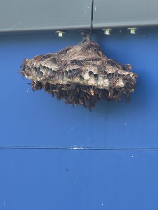 이만식님의 자유주제 · 자유게시판 작성글 사진