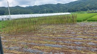 강원도 횡성군님의 자유주제 · 자유게시판 작성글 사진
