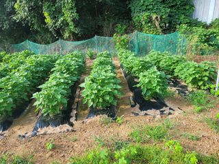 땅땅님의 자유주제 · 자유게시판 작성글 사진