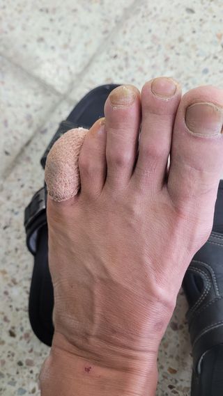 여우내 이순홍님의 자유주제 · 자유게시판 작성글 사진