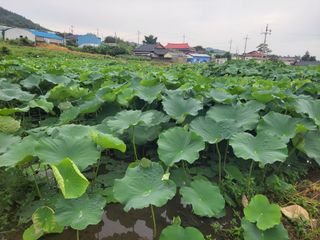 전영일님의 자유주제 · 자유게시판 작성글 사진