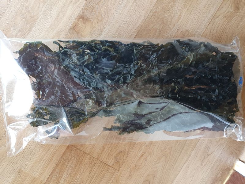 짱뚱이님의 장터 판매 상품 [당사도 갯바위 미역] 첨부 사진