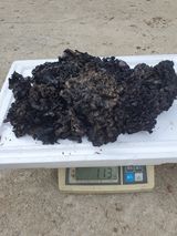 팜모닝 · 게시글 이미지