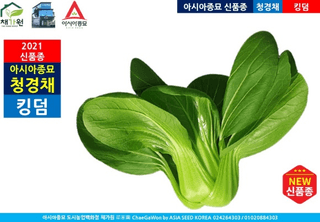 아시아종묘님의 자유주제 · 자유게시판 작성글 사진