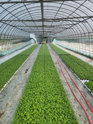 감자6289님의 자유주제 · 자유게시판 작성글 사진