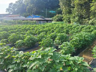 땅땅님의 자유주제 · 자유게시판 작성글 사진