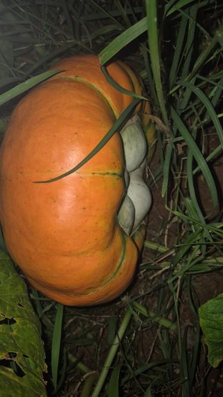 망치님의 자유주제 · 자유게시판 작성글 사진