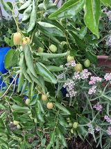 팜모닝 자유주제·자유게시판 게시글 이미지