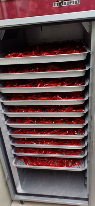 초보퍼머5도2촌준비님의 자유주제 · 자유게시판 작성글 사진