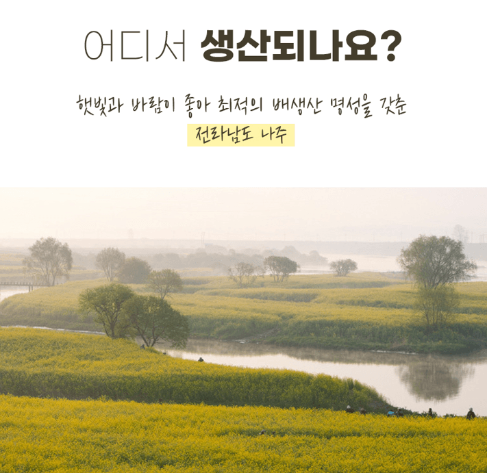 스피드번님의 장터 판매 상품 [나주 배(신고)] 첨부 사진
