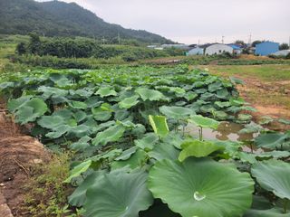 전영일님의 자유주제 · 자유게시판 작성글 사진