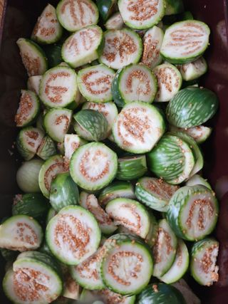 복숭아님의 자유주제 · 사진전 작성글 사진