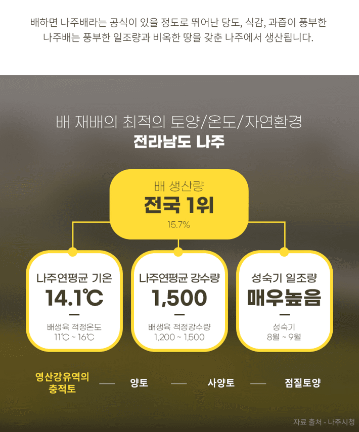 스피드번님의 장터 판매 상품 [나주 배(신고)] 첨부 사진