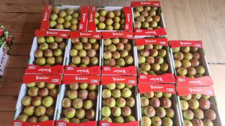 김준한님의 자유주제 · 자유게시판 작성글 사진