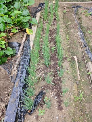 h.정님의 자유주제 · 자유게시판 작성글 사진