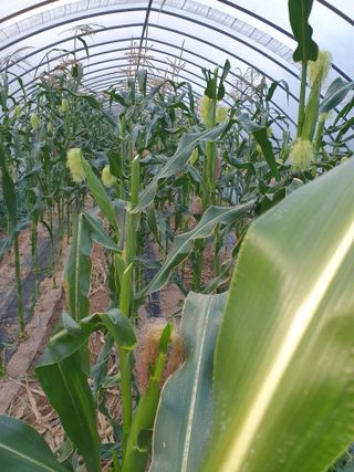 안비님의 자유주제 · 자유게시판 작성글 사진