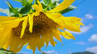 이정운님의 자유주제 · 자유게시판 작성글 사진