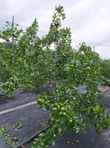 팜모닝 자유주제·자유게시판 게시글 이미지