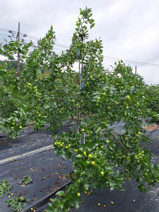 이문우님의 자유주제 · 자유게시판 작성글 사진