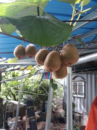 조동원님의 자유주제 · 자유게시판 작성글 사진