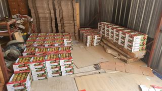 김준한님의 자유주제 · 자유게시판 작성글 사진