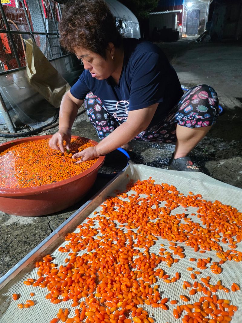 장터 상품 [몸에 좋은 구기자 ] 썸네일