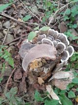 팜모닝 자유주제·자유게시판 게시글 이미지