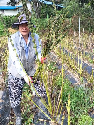 이천산수유3대농부님의 자유주제 · 자유게시판 작성글 사진