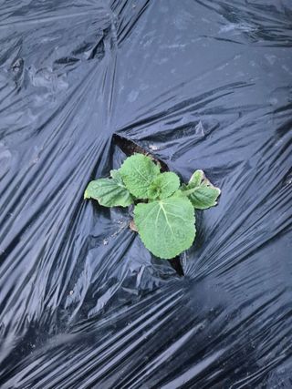 박덕환님의 자유주제 · 자유게시판 작성글 사진