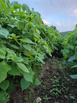 이정민님의 자유주제 · 사진전 작성글 사진