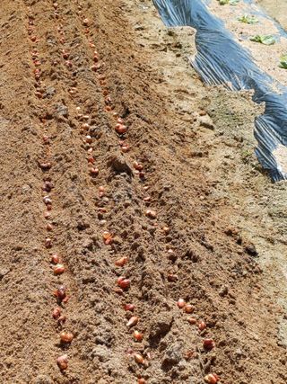 이철우님의 자유주제 · 자유게시판 작성글 사진