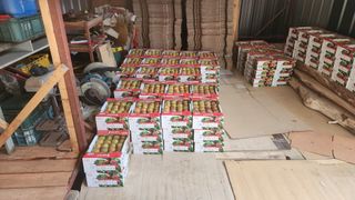 김준한님의 자유주제 · 자유게시판 작성글 사진