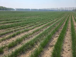 호랭이님의 자유주제 · 자유게시판 작성글 사진