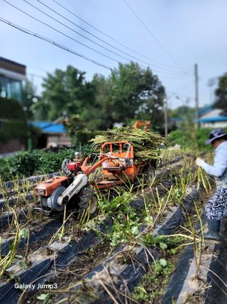 이천산수유3대농부님의 자유주제 · 자유게시판 작성글 사진