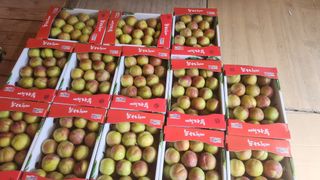 김준한님의 자유주제 · 자유게시판 작성글 사진