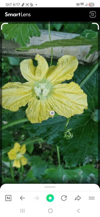 텃밭농부상철이님의 자유주제 · 자유게시판 작성글 사진