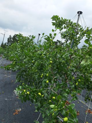 이문우님의 자유주제 · 자유게시판 작성글 사진