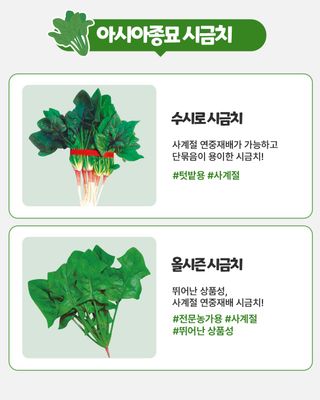아시아종묘님의 자유주제 · 자유게시판 작성글 사진