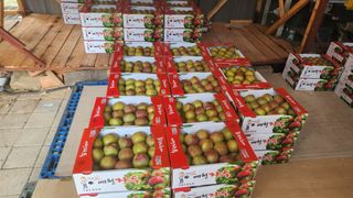 김준한님의 자유주제 · 자유게시판 작성글 사진