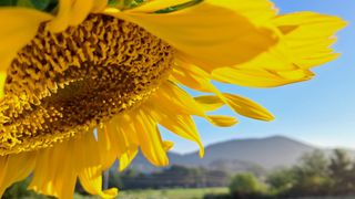 이정운님의 자유주제 · 자유게시판 작성글 사진