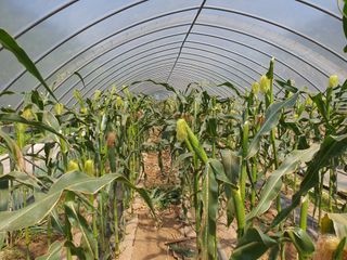 안비님의 자유주제 · 자유게시판 작성글 사진