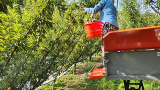 김준한님의 자유주제 · 자유게시판 작성글 사진