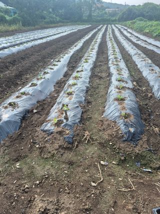 이정민님의 자유주제 · 사진전 작성글 사진