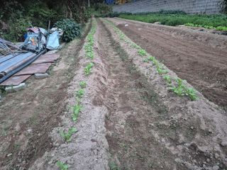 박덕환님의 자유주제 · 자유게시판 작성글 사진