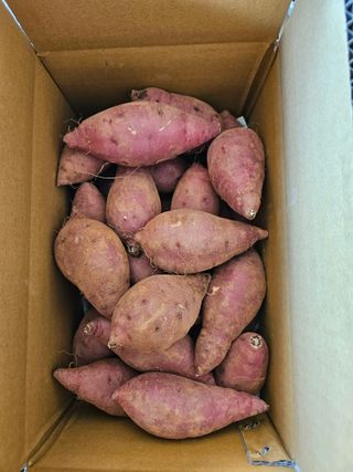 이영민님의 작성글 사진