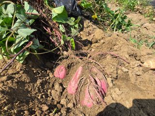 최병훈님의 자유주제 · 자유게시판 작성글 사진