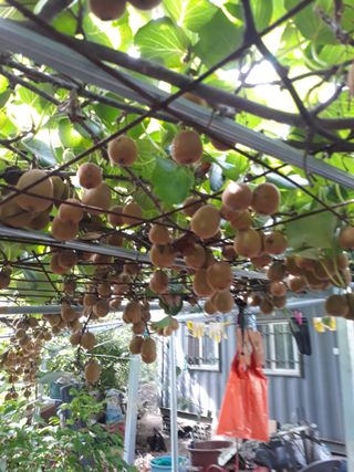 조동원님의 자유주제 · 자유게시판 작성글 사진