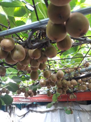 조동원님의 자유주제 · 자유게시판 작성글 사진